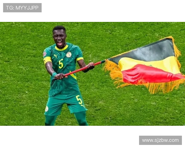 盖耶批非洲杯改判决定太荒谬